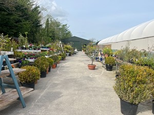 auction event image